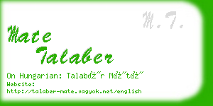 mate talaber business card